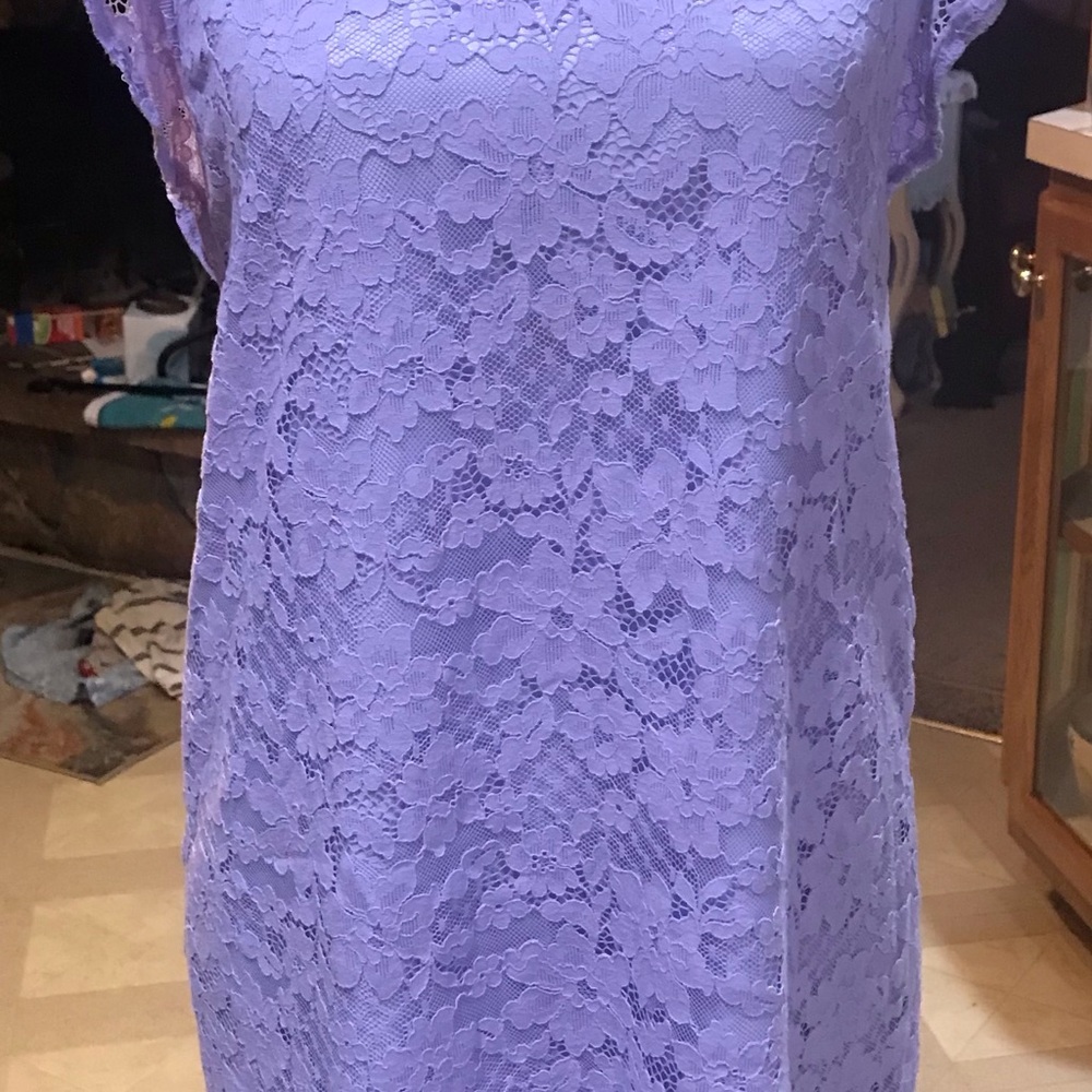 Lilac Lace Shift Dress